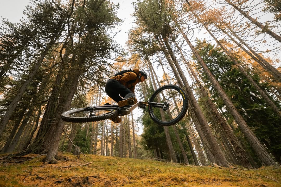 Aktuelles 27 Bachus Bike - Dein Fahrradladen in Erfurt