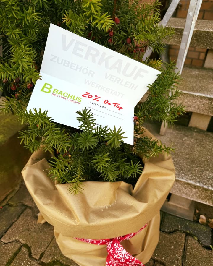 Aktuelles 17 Bachus Bike - Dein Fahrradladen in Erfurt