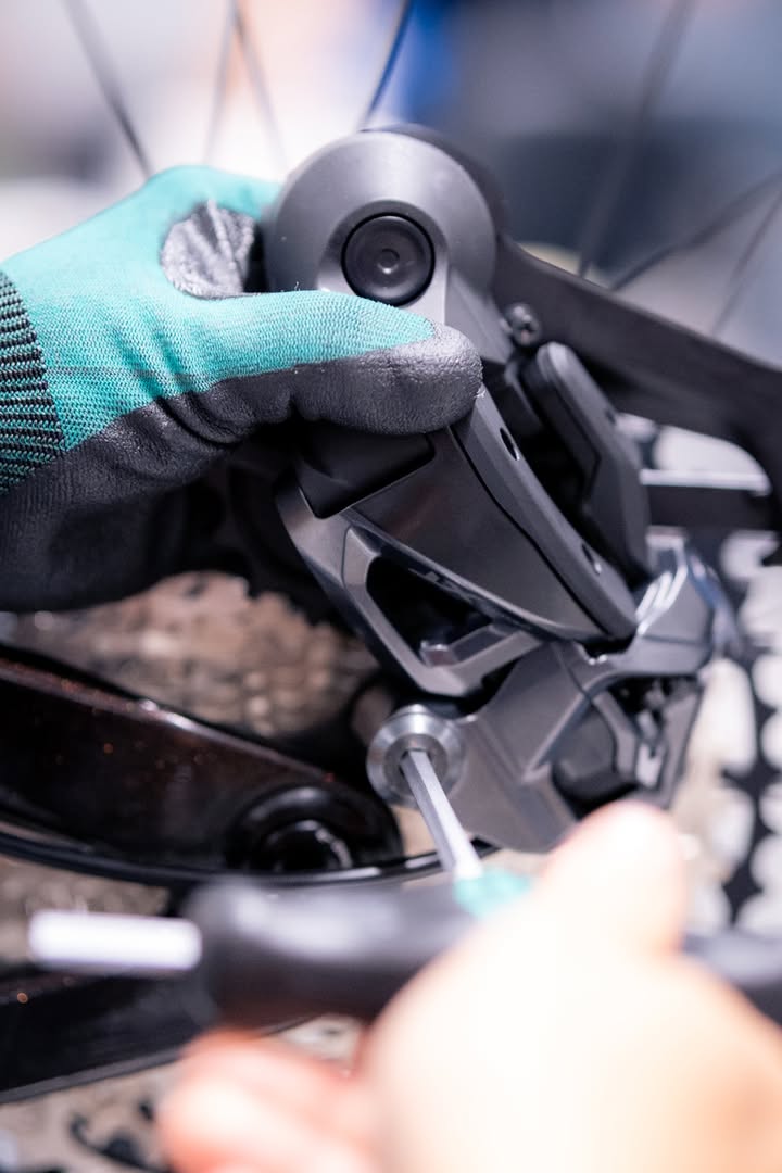 Bachus Bike - Dein Fahrradladen in Erfurt