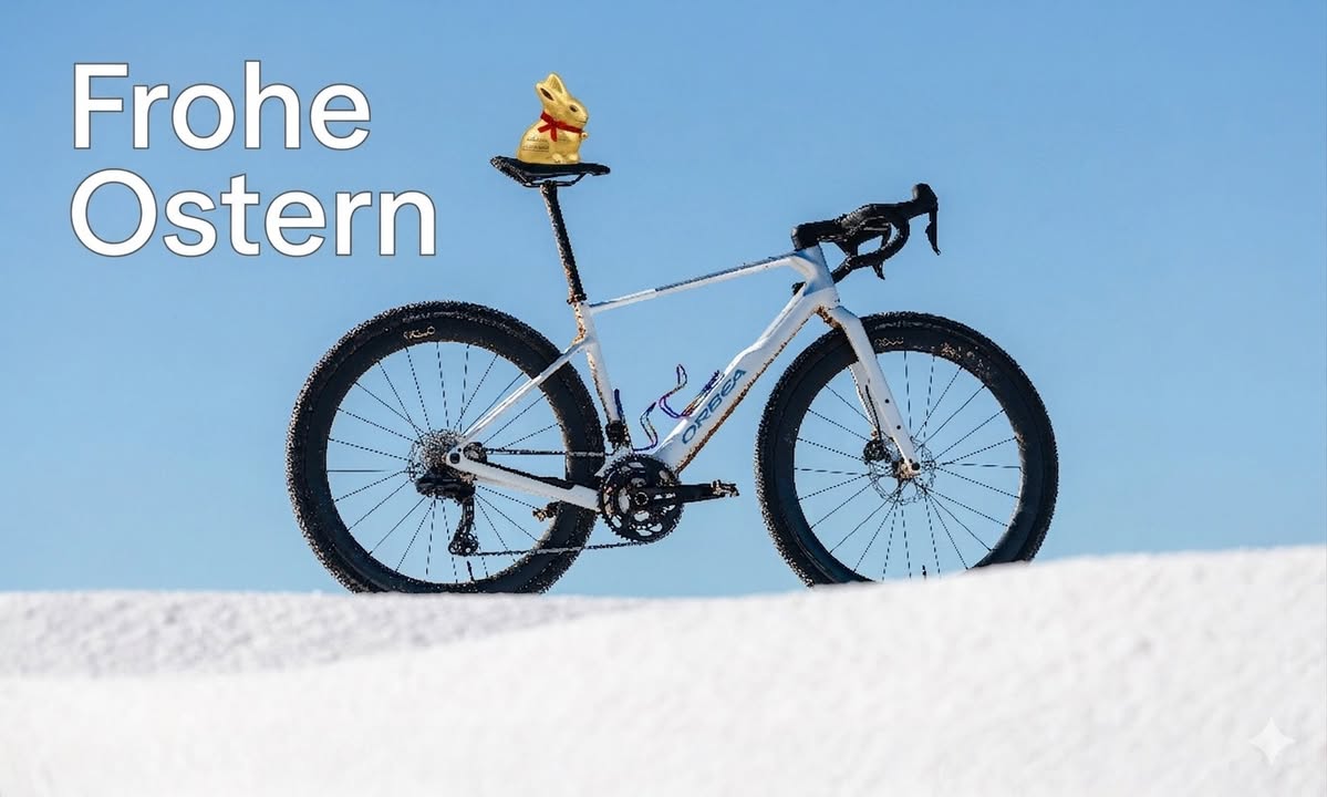 Bachus Bike - Dein Fahrradladen in Erfurt