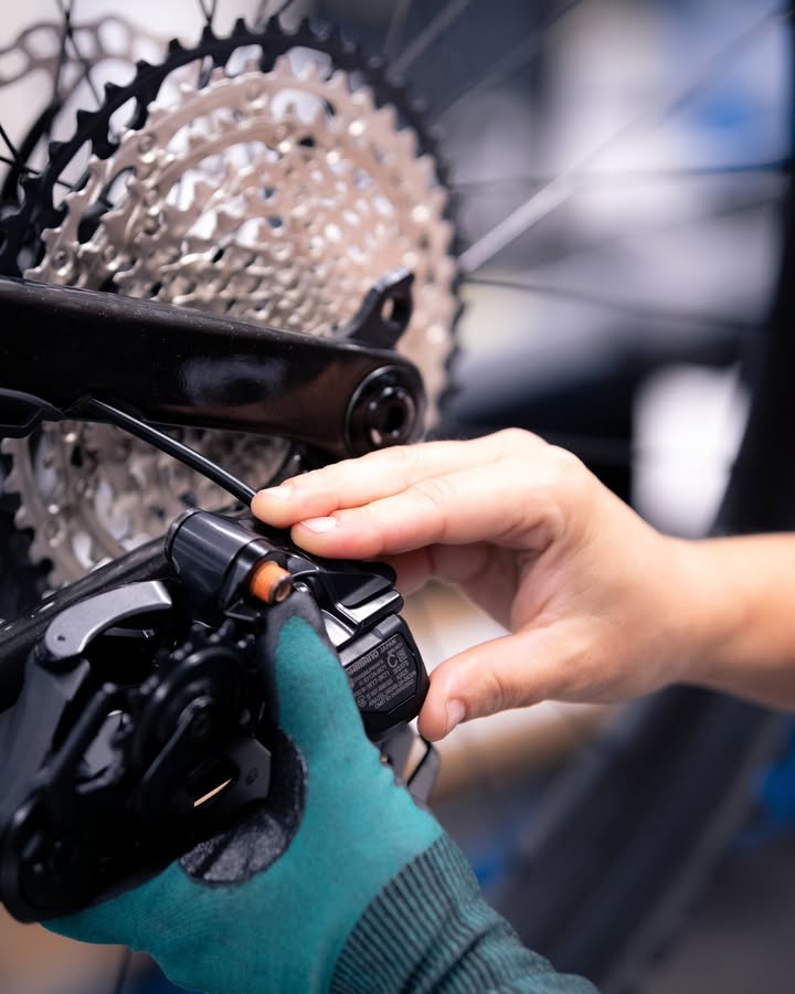 Bachus Bike - Dein Fahrradladen in Erfurt