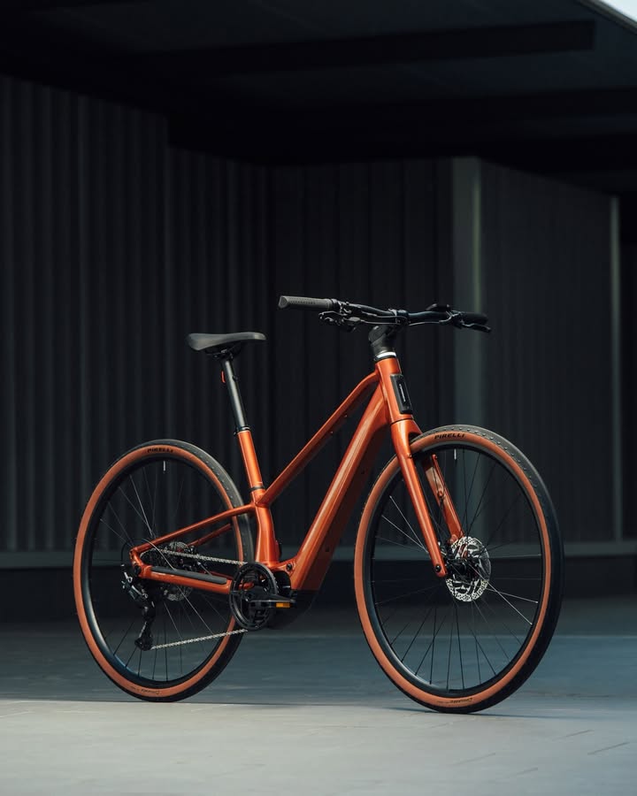 Bachus Bike - Dein Fahrradladen in Erfurt