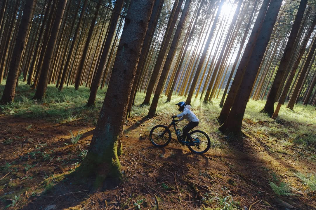 Bachus Bike - Dein Fahrradladen in Erfurt