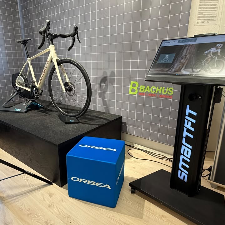 Bachus Bike - Dein Fahrradladen in Erfurt
